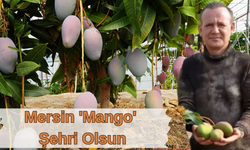 Mersin 'Mango' şehri olsun