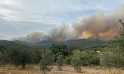 Çanakkale’de orman yangını