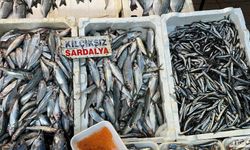 Mersin'de hamsi ve sardalya balıkları en çok tercih edilenler arasında