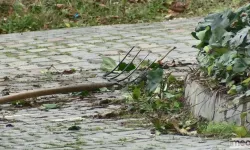 Binanın önünde el bombası bulundu