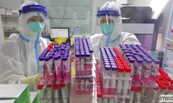 Çin, Salgından İki Hafta Önce Covid-19 Virüs Haritasını Çıkarmış