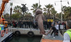 Mersin'de Tehlike Altındaki Cam Göz Köpek Balığı Kıyıya Vurdu