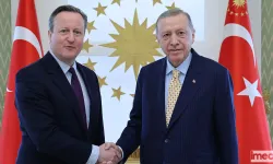 Cumhurbaşkanı Erdoğan, Cameron'ı Kabul Etti