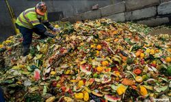 Gıda Raporu Yayımlandı: 19 Milyon Ton Gıda Çöpte