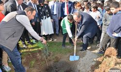 Mersin’de Okul Bahçelerine 600 Zeytin Fidanı Dikildi