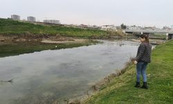Tarsus'ta Kırmızı Akan Berdan Nehri Normale Döndü