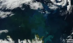NASA Uyardı: Dünya'nın Rengi Değişiyor!