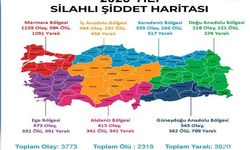 2023'te Türkiye'de 21 Bin Kişi Silahlı Şiddetle Hayatını Kaybetti