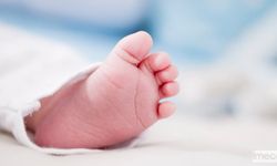 Sosyal Medyada Bebek Sattılar: 100 Bin TL Değer Biçildi