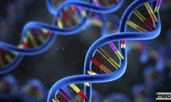 "Genetik Miras DNA, Değiştirilemez Bir Kader Değildir"