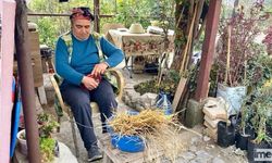 Depremzede Kadının Elinin Değdiği Buğday Sapları, Tepsi Oluyor