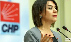 Gamze Taşçıer: 'Emeklinin Geçim Derdiyle Alay Ediyorlar'