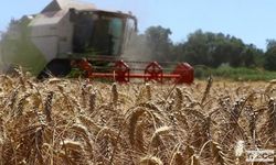 TÜİK: Tarımsal Girdi Fiyatlarında Artış