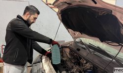 Motor Sağlığı İçin Yaz Aylarında da Antifriz Kullanımı Büyük Önem Taşıyor