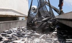 Av Yasağı Yarın Başlıyor: Balık Avı Sezonu Kapanıyor