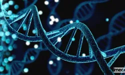 Kanserle Savaşta DNA Rehberliği