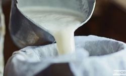 Süt Üreticileri Zammı Yetersiz Buldu