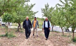 Mersin'de 'Organik Tarım' Projesi İle Ürünlerin Verimi Artıyor