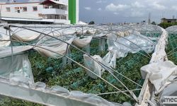 Mersin'de Şiddetli Fırtına Seralara Zarar Verdi