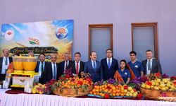 Mersin'de 'Turunçgil Çalıştayı' Düzenlendi