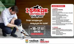 Tarsus'ta 'Sokak Hayvanları Çalıştayı' Düzenlenecek