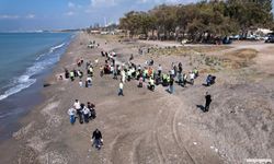 Caretta Caretta Yumurtlama Alanı Kazanlı Sahili Temizlendi