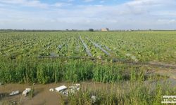 Tarsus’ta Dolu, Tarım Arazilerine Zarar Verdi