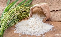 Pirinç Fiyatları 15 Yılın En Yüksek Seviyesinde