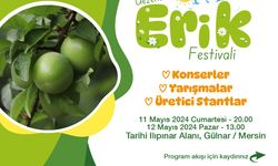Gezende Erik Festivali 11 Mayıs’ta Başlıyor!
