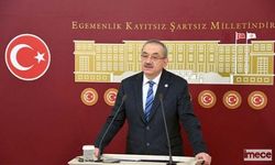 İsmail Tatlıoğlu, Partisinden İstifa Etti