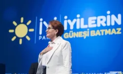 İYİ Parti’de 'Akşener’in Fotoğrafı İndirilsin' Krizi