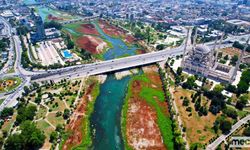 Seyhan Nehri'ni Kaplayan Yosunlar İnsan Boyunu Geçti