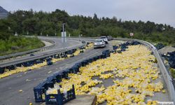 Mersin'de Limon Yüklü Kamyon Devrildi: 6 Yaralı