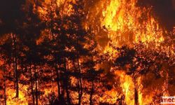 Akdeniz Bölgesi'nde Yaz Aylarında Yangın Riski Yüksek