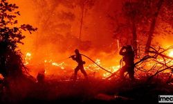 Orman Yangınları: Nedenleri, Etkileri ve Alınması Gereken Önlemler