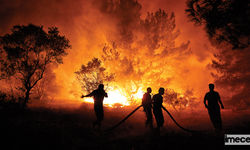 Orman Yangınlarının Yaygın Nedenleri ve Önlemler