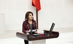 Gülcan Kış’tan ‘Katliam Yasasına’ Tepki