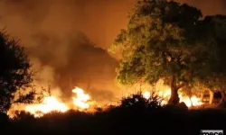 İzmir'de Orman Yangını: Ekipler Müdahale Ediyor