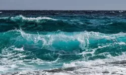 Deniz Suyunun Faydaları ve Zararları
