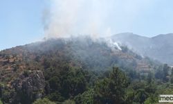 Mersin'de Orman Yangınına, Havadan ve Karadan Müdahale