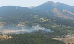 Soma'da Orman Yangını Kontrol Altına Alındı