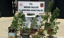 Toroslar ve Tarsus'ta Uyuşturucu Operasyonu