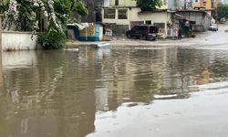 Adana'da Şiddetli Yağmur ve Rüzgar Ağaçları Kökünden Söktü