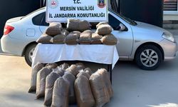 Mersin'de 310 Kilo Kaçak Tütün Ele Geçirildi