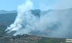 Hatay'da Orman Yangını: Havadan ve Karadan Müdahale Başladı