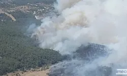 İzmir'de Orman Yangını: Sabuncubeli Tüneli Trafiğe Kapatıldı