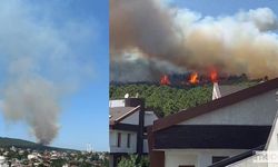 Aydos'ta Orman Yangını! Alevler Evlere Doğru İlerliyor