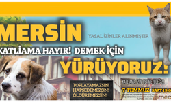 Mersin'de Sokak Hayvanları İçin "Katliama Hayır" Yürüyüşü Düzenleniyor