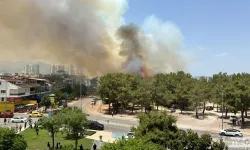 Antalya'da Yerleşim Yerinde Yangın!