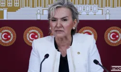 İstanbul Milletvekili Nimet Özdemir, İYİ Partiden İstifa Etti